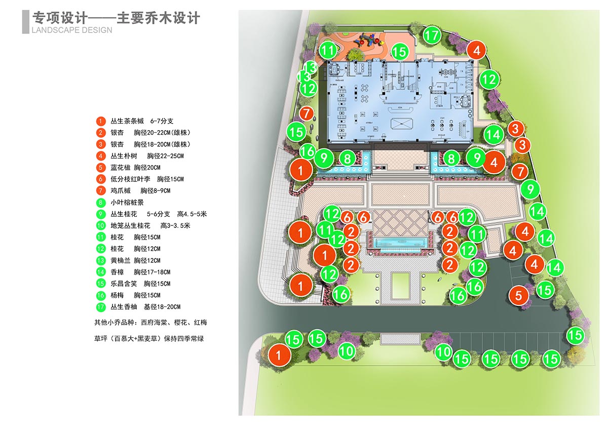 4.01  主要乔木设计.jpg