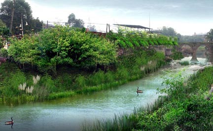 九龙坡区含谷镇梁滩河道绿化整治设计