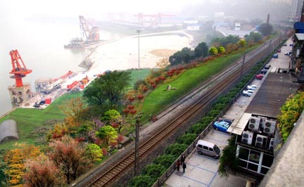 九滨路佳宇广场段景观绿化设计